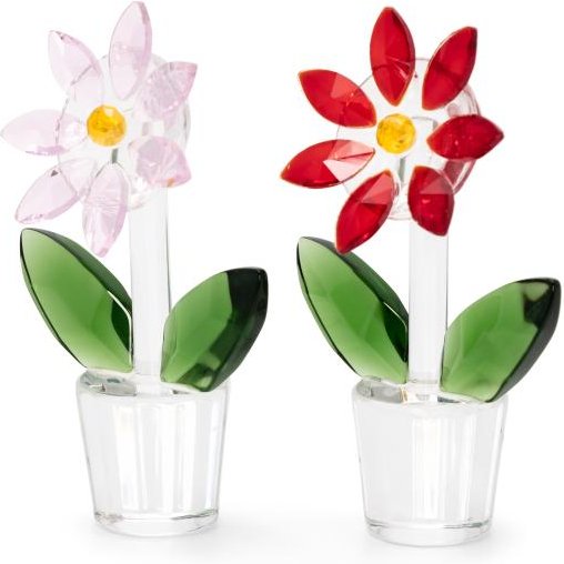 Crystal Dreams Blumen Set