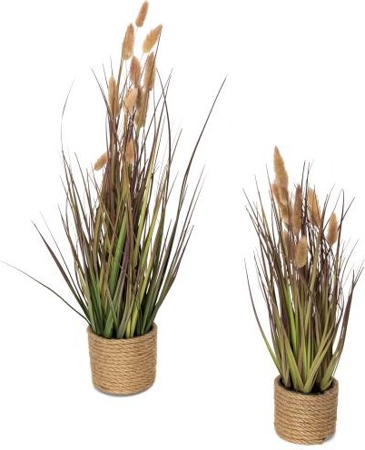 2er Set Lagurusgras rosa 44 und 60 cm