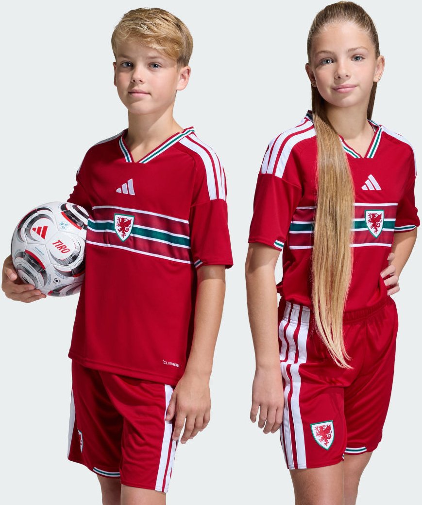 Wales 26 Kids Heimtrikot