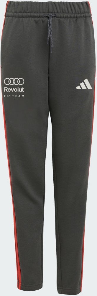 AUDI REVOLUT F1 TEAM DNA HOSE