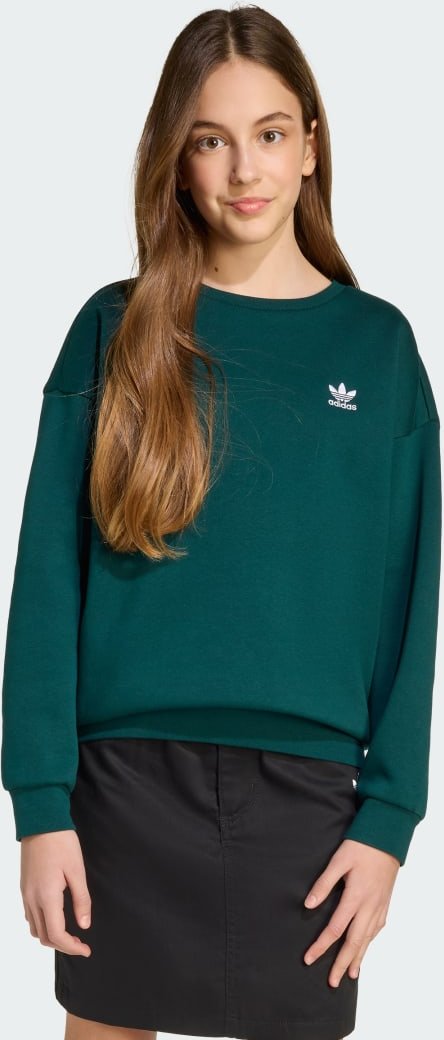 Boyfriend Sweatshirt mit Rundhalsausschnitt