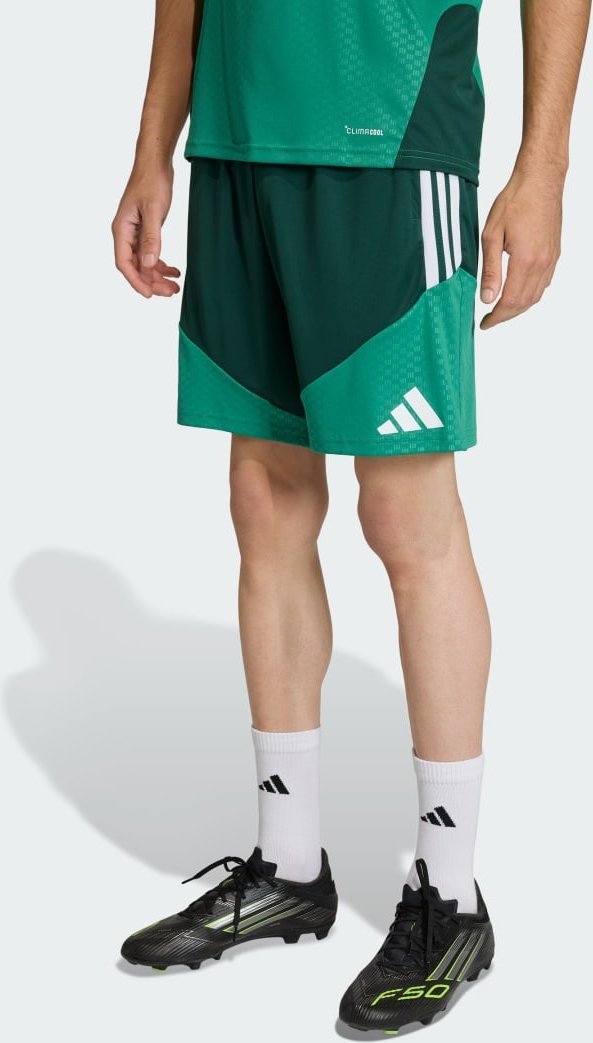 Algerien 26 Trainingsshorts
