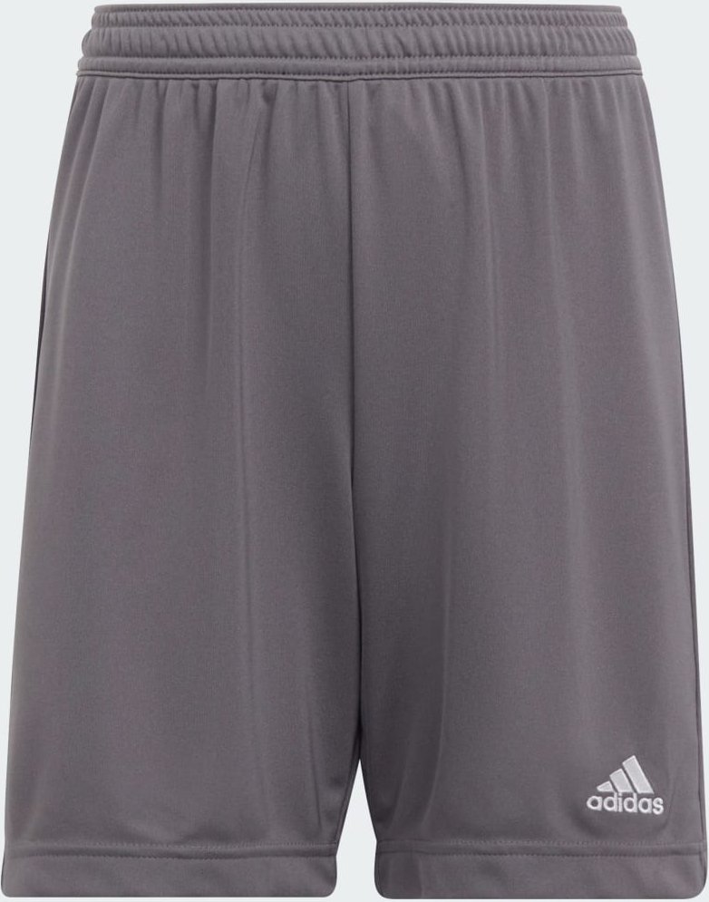 Thumbnail - Entrada 22 Shorts