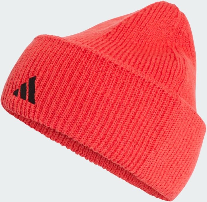 DBS Beanie