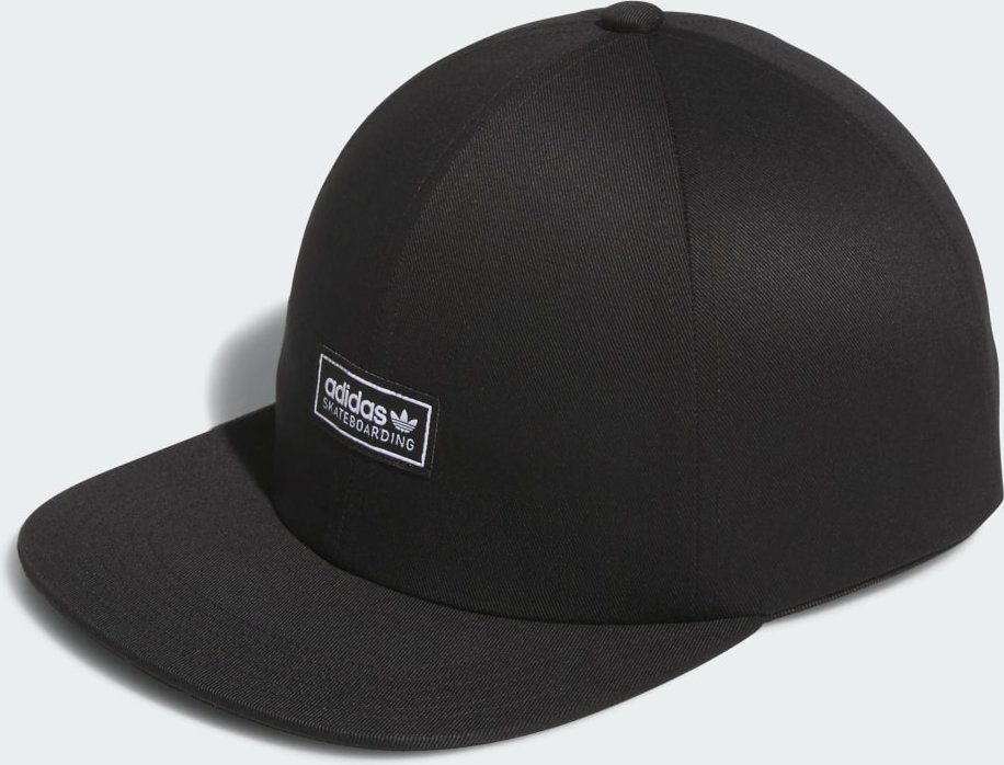 SKATEBOARDING LOWKEY 6PANEL KAPPE
