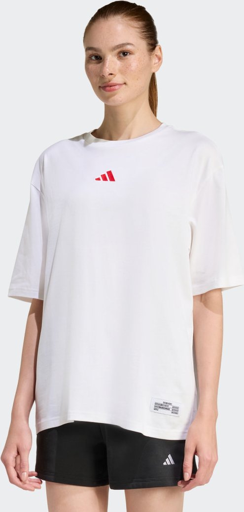 MINI EMBROIDERY OVERSIZED GRAPHIC T-SHIRT