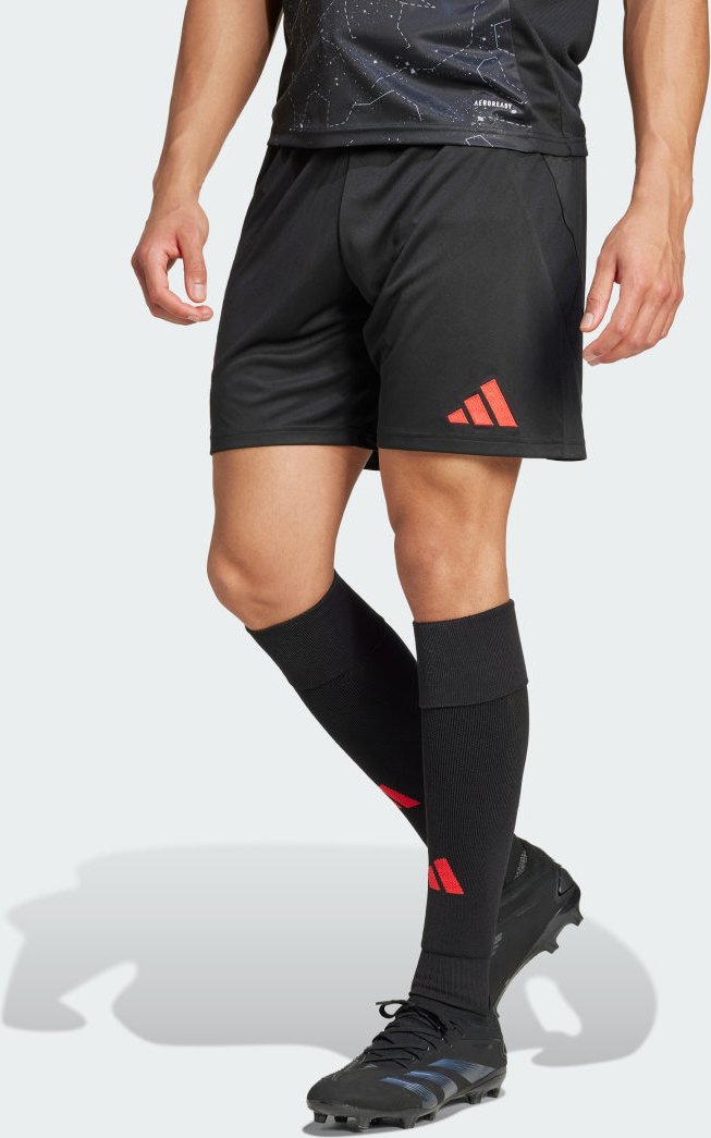 Benfica Lissabon 24/25 Auswärtsshorts