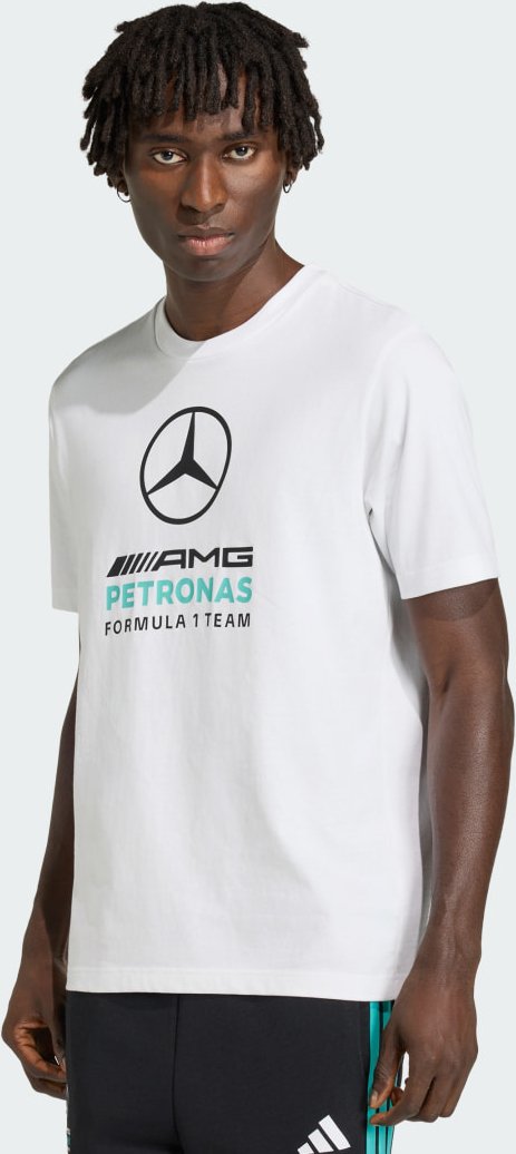 Mercedes-AMG PETRONAS FORMULA 1 TEAM DNA GRAFIK T-SHIRT