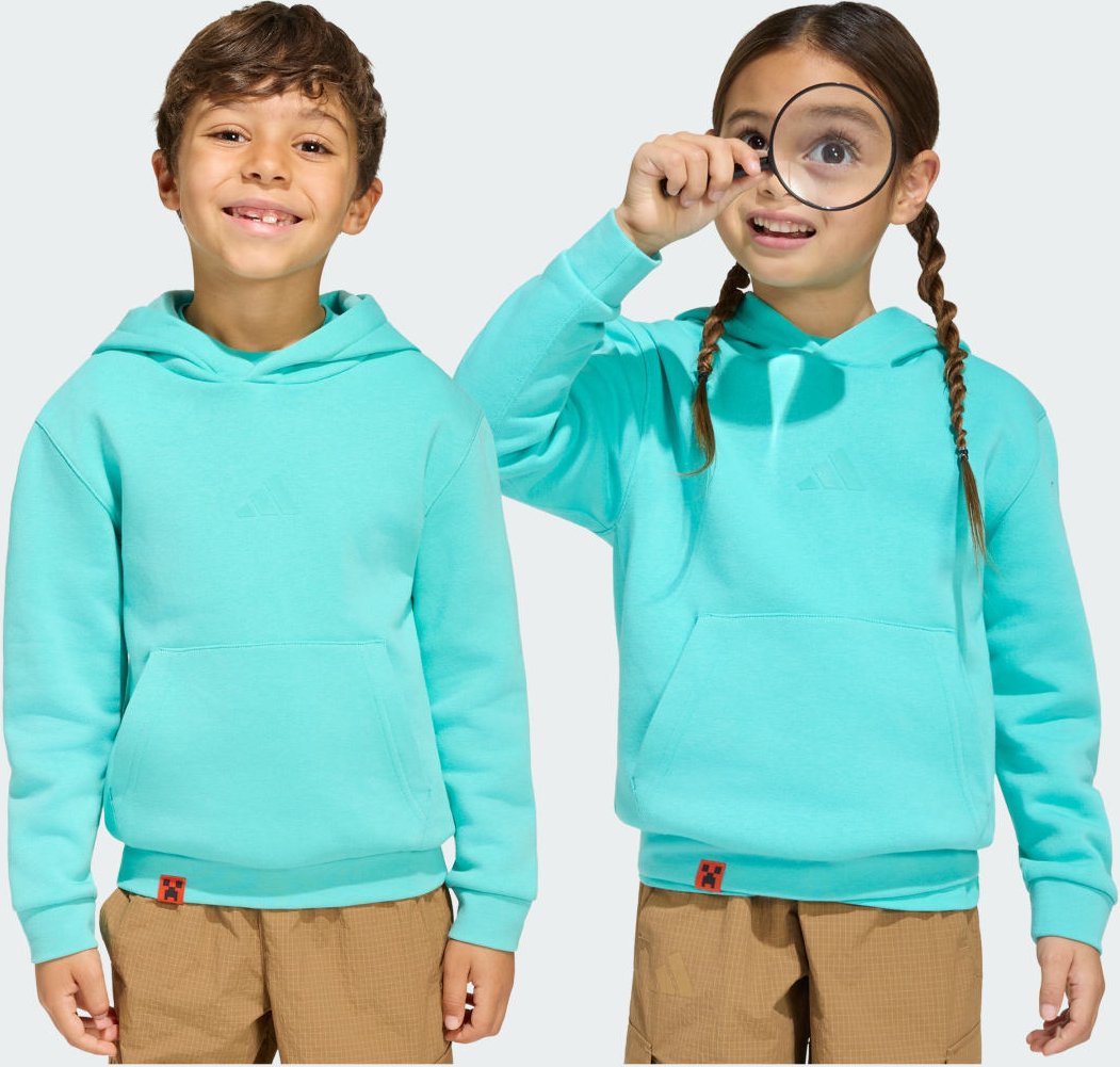 Adidas Minecraft Terrex Hoodie