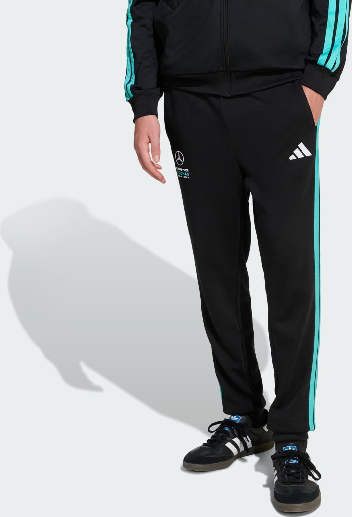 MERCEDES - AMG PETRONAS FORMULA 1 TEAM DNA HOSE
