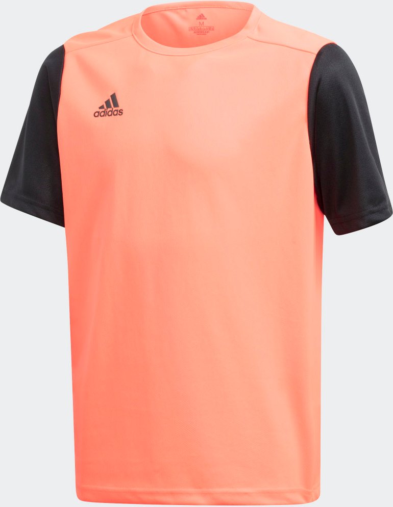 Estro 19 Trikot