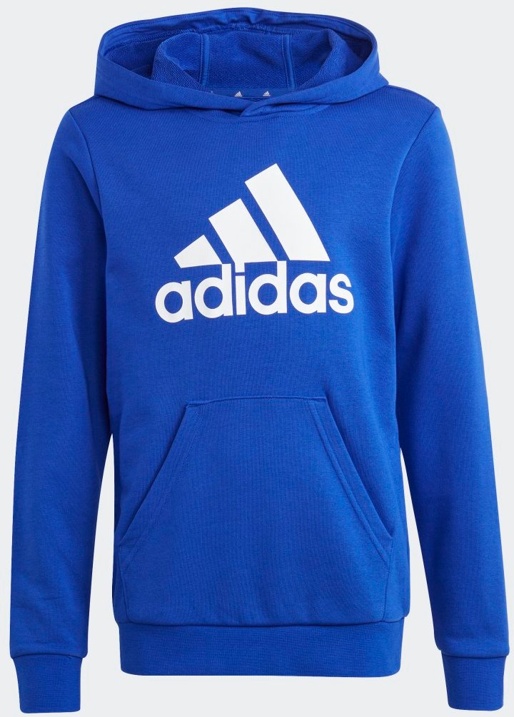 Big Logo Essentials Hoodie aus Baumwolle