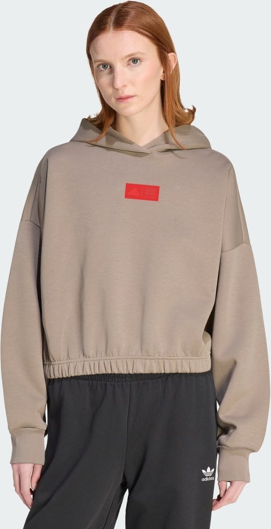 AUDI REVOLUT F1 TEAM ELEVATED HOODED SWEAT Sweatshirt