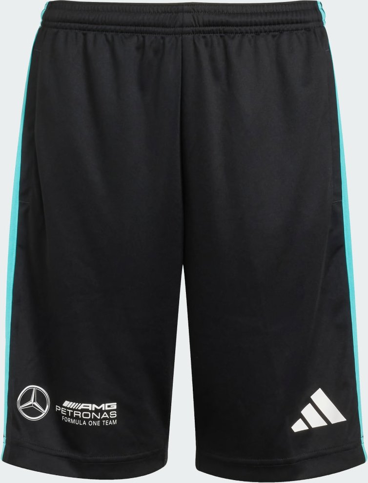 MERCEDES - AMG PETRONAS FORMULA ONE TEAM DNA SHORTS