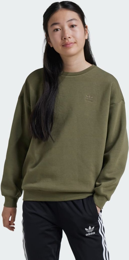 Boyfriend Sweatshirt mit Rundhalsausschnitt