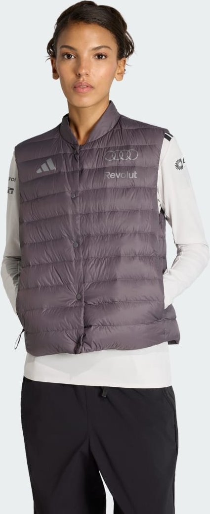 AUDI REVOLUT F1 TEAM ENGINEERS & MARKETING STEPPWESTE