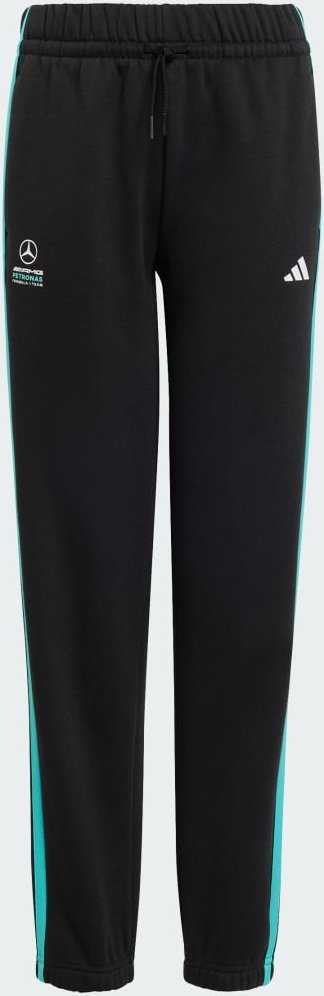 MERCEDES – AMG PETRONAS FORMULA 1 TEAM DNA HOSE