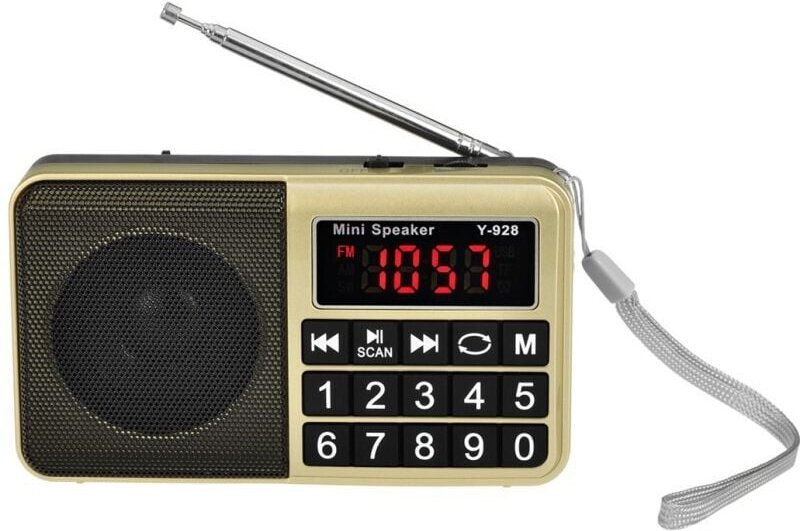 Tragbares FM/AM (MW)/SW/USB/Micro-SD/MP3-Radio, Senderempfang mit großen Tasten und großem Display, wiederaufladbarer 80...