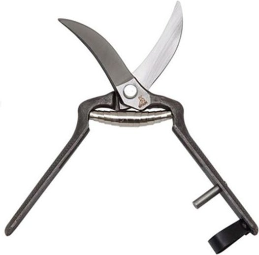 EDM - Gebogene Knoblauchschere 19cm 1026-19 La Pajarita