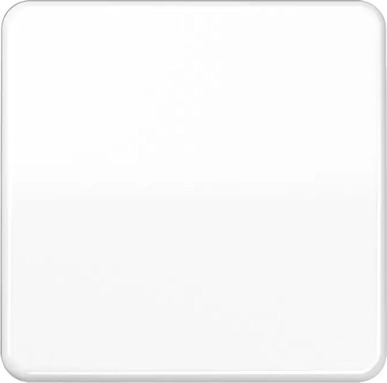 Jung Steuertaste Standard CD 1700 WW