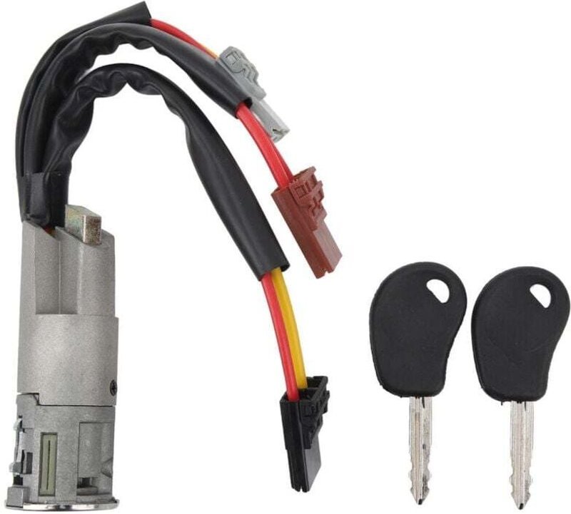Zündschlosszylinder mit Schlüsseln, Ersatzteil 252521 für Citroën AX Berlingo Escape Jumpy Saxo Xantia Xsara