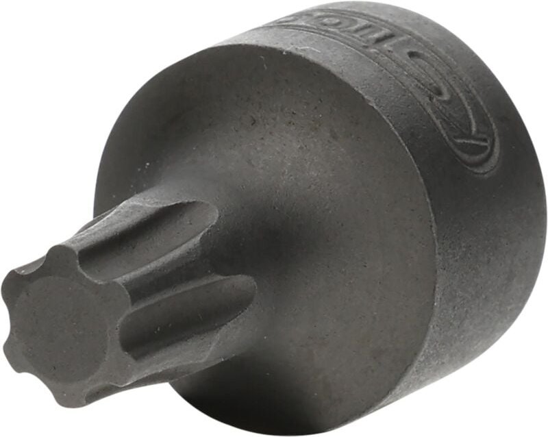 1/4" Bit-Stecknuss TorxPlus, IP30, extra kurz