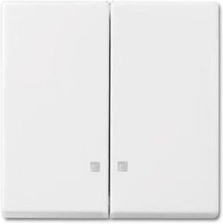 Busch-Jaeger Wippe alpinweiß 2505 K-914