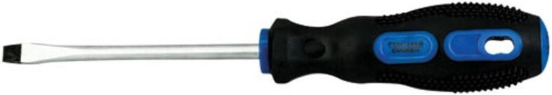 Schraubendreher Bimatière / Chromstahl Glatt SL1.2 6 x 100 mm - Fischer Darex