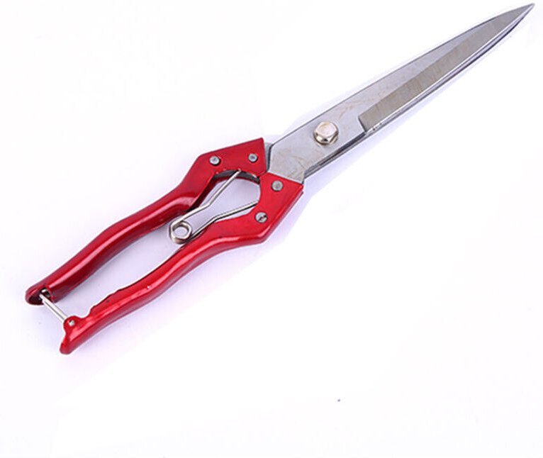 Gartenschere oder Schafschere – Formschnitt-/Heckenschere zum Beschneiden