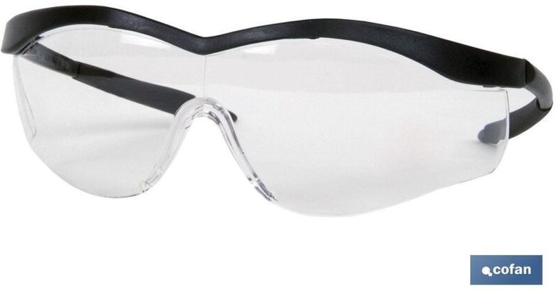 Schutzbrille Modell Eyes 2000