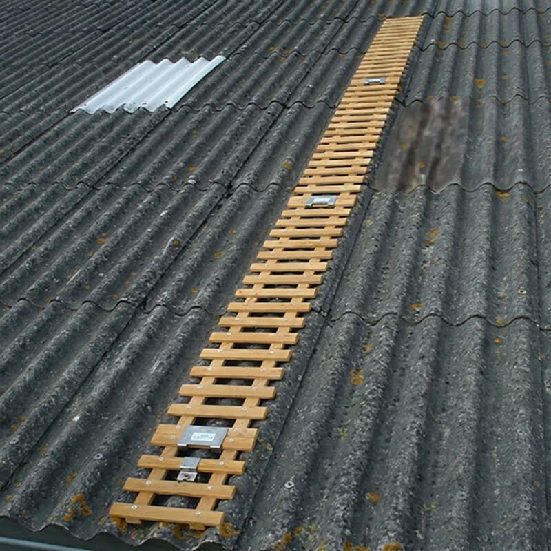 1 Dachleiter 2,00 m + Startelement 0,50 m – Länge 2,50 m - CHETOIT-B31-250