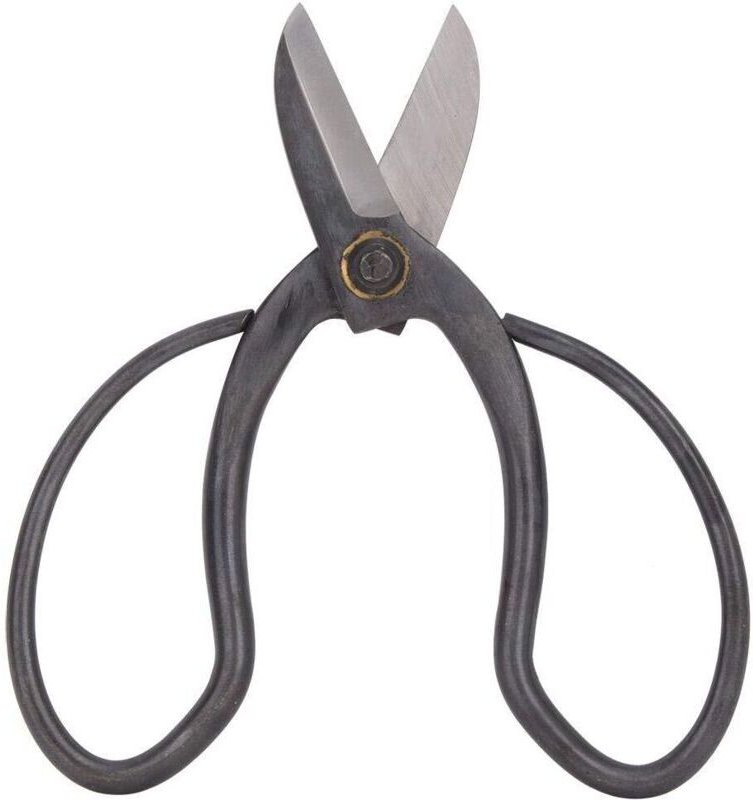 Schere mit Griffen, Bonsai-Werkzeug, Blätter, Astschere, Handwerkzeug, Terrasse, Rasen, Garten (2)