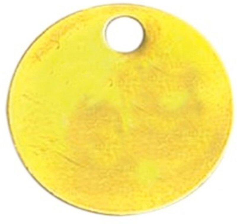 Neutrale Messingmünze Ø 30 mm OUTIFRANCE