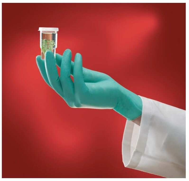 Ansell - Einw.-Handsch.Microflex NeoTouch® 25-101 Gr.8,5-9 hellgrün Neopren 100 St./Box