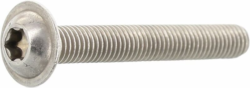 No Brand - ISO7380-2 m 5x 10 TX25 Edelstahl A2 Linsenschraube Innensechsrund, Vollgewinde