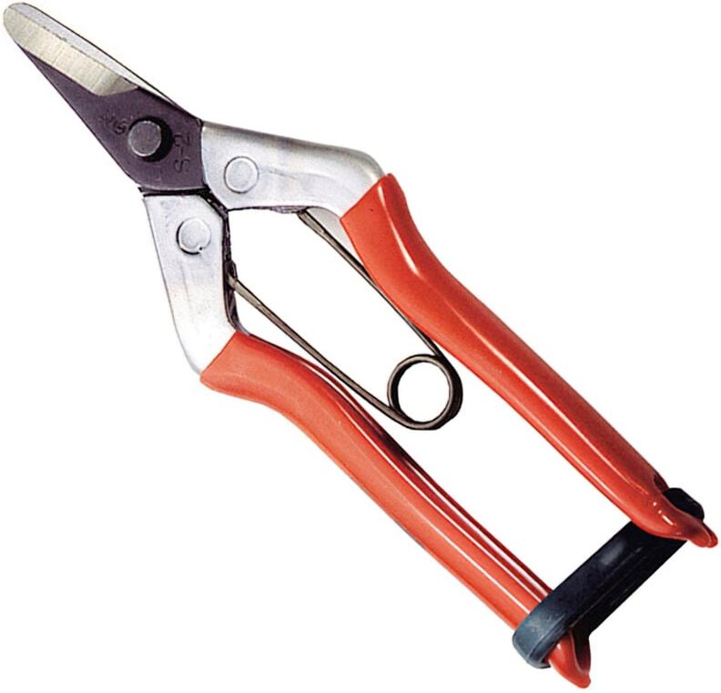 Schere Wolfpack zur Orangenernte p 1202 155 mm.