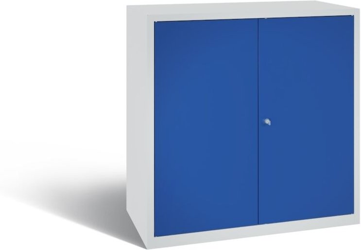 C+P Stahl-Flügeltürenschrank Serie 89, H1000xB100xT500mm, 7035/5010