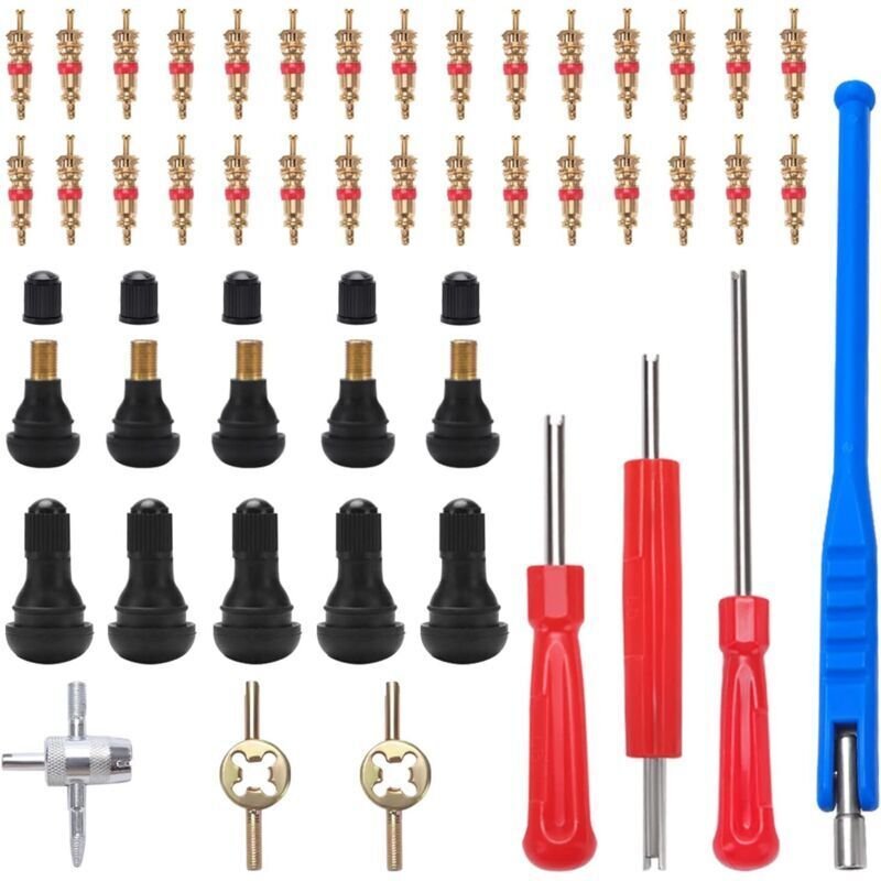 47-teiliges TR412-Reifenventil-Ausbauwerkzeug, mit Ventilschaftabzieher, Ventileinsätzen aus reinem Kupfer, Einzel- und