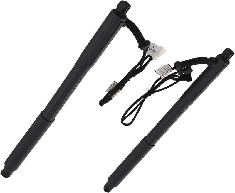 2 Hinten Gasdämpfer Elektrische Heckklappe for BMW X5 E70 2007-13 51244887651