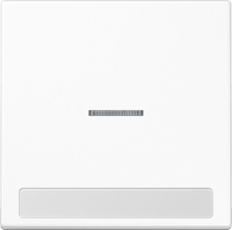 Jung Wippe Licht./Schriftf.aws für Schalter/Taster LS 990 NAKO5 WW