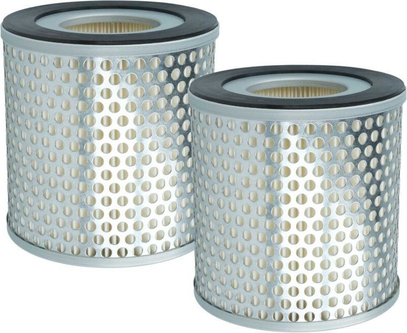 vhbw 2x Feinstaubfilter Ersatz für Freuding 46205 für Absauganlage - Feinstaub-Filterpatrone