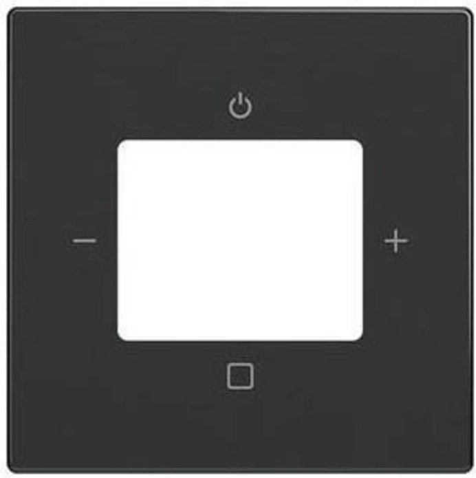 Busch-Jaeger Zentralscheibe 8252-81-101