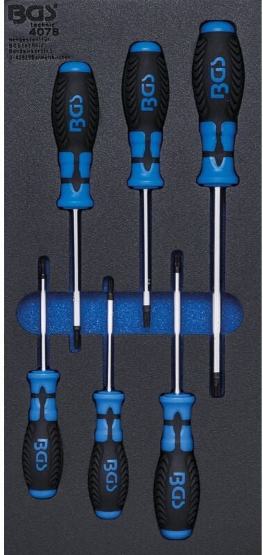 Bgs Technic - Werkstattwageneinlage 1/3: Schraubendreher T-Profil (für Torx) 6-tlg.