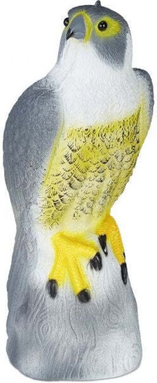 Vogel erschreckt falke sitzt