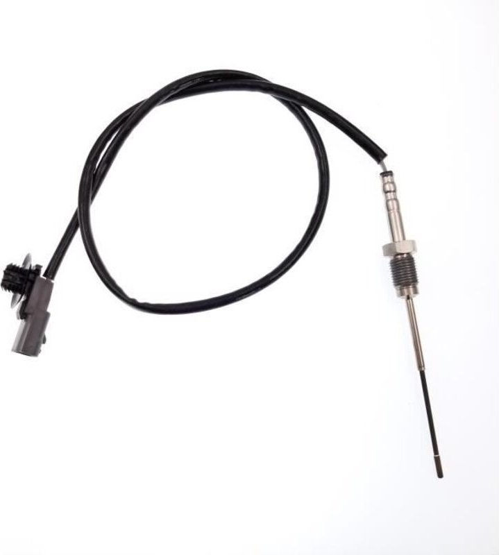 Abgastemperatursensor, 226400467R