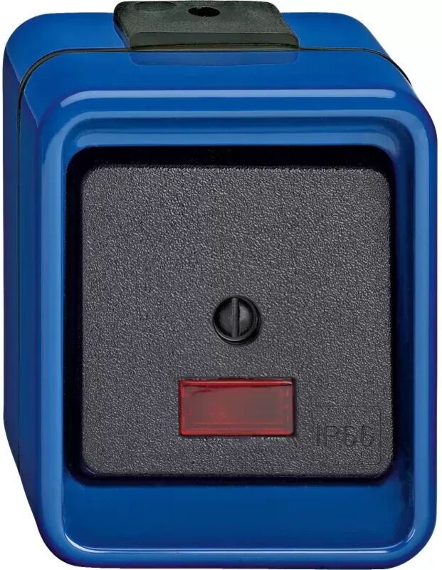 Merten Wipptaster bl Wechsel 1-polig 375998