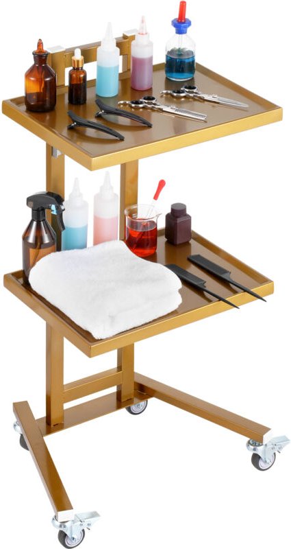 Laborwagen aus Edelstahl mit 2 Ebenen, Laborwagen mit 2 Ablagen, mobiler medizinischer Wagen mit 4 leisen Rädern, Laborr...