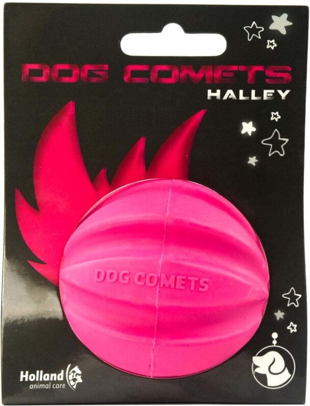 Hund kometen ball meteorit rose