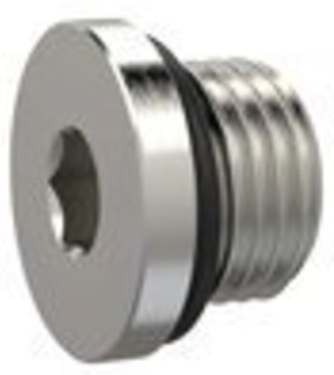 Verschlussschraube, Innensechskant 8 mm, g 3/8, nbr O-Ring, msn - Riegler