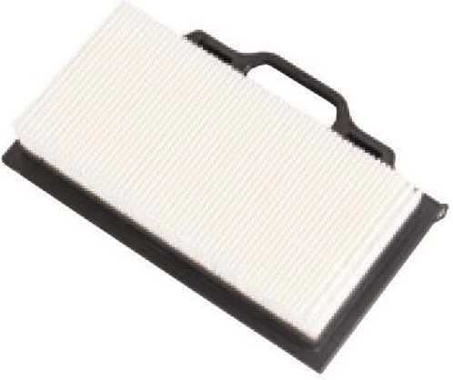 Hepa filterelement trocken für nts 30 premium